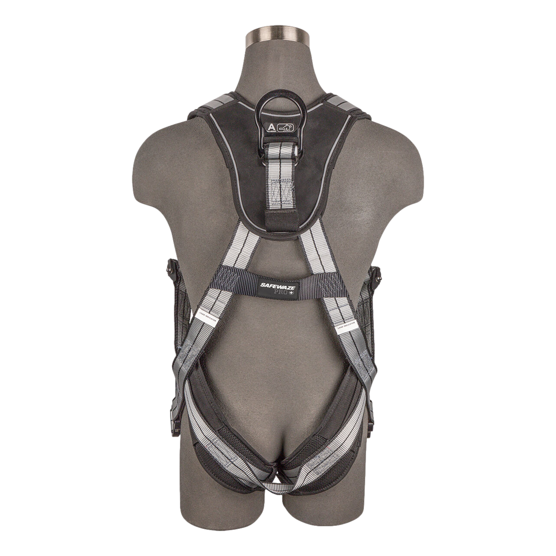 Safewaze 020-1222 harness dorsal D-ring rear view detail