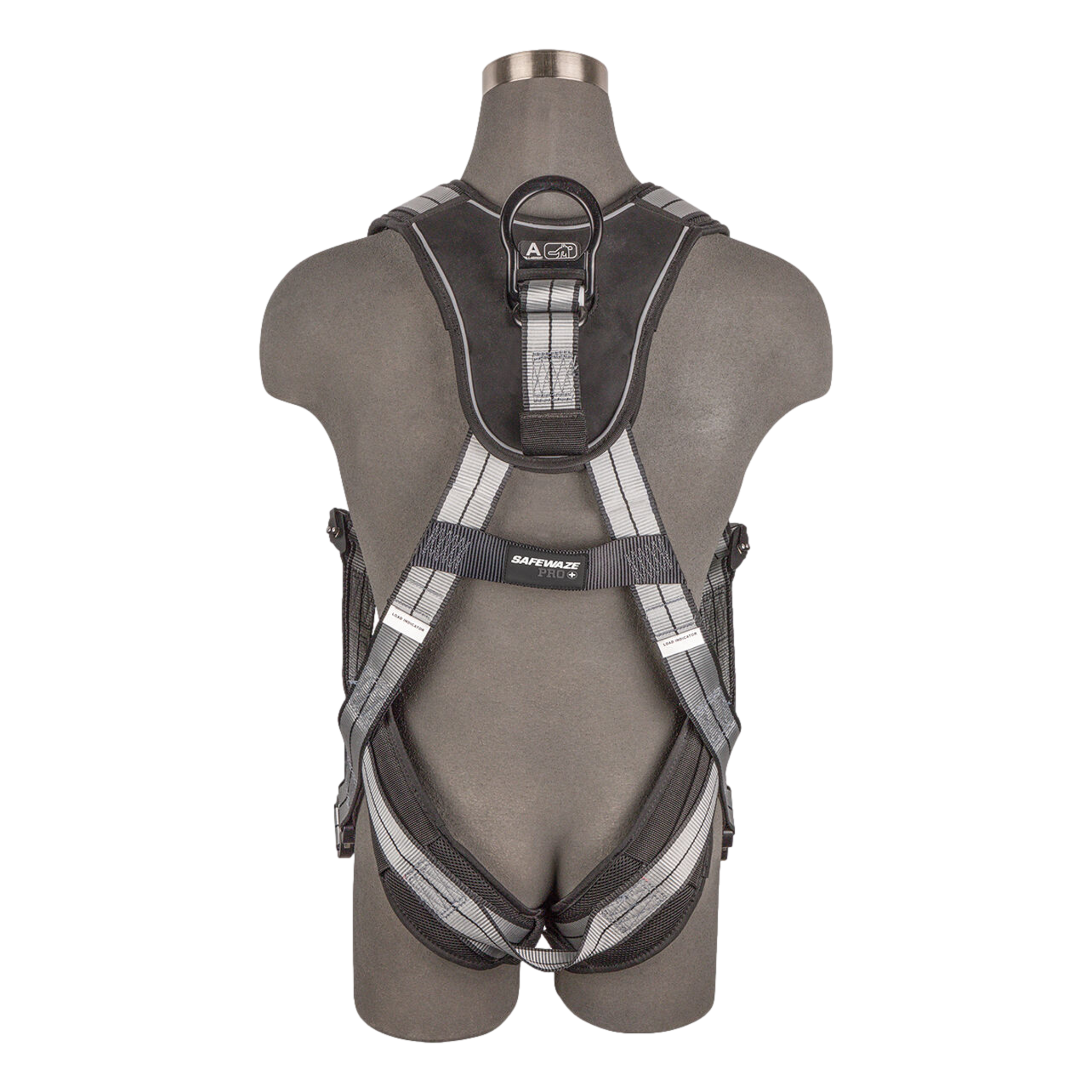 Safewaze 020-1222 harness dorsal D-ring rear view detail