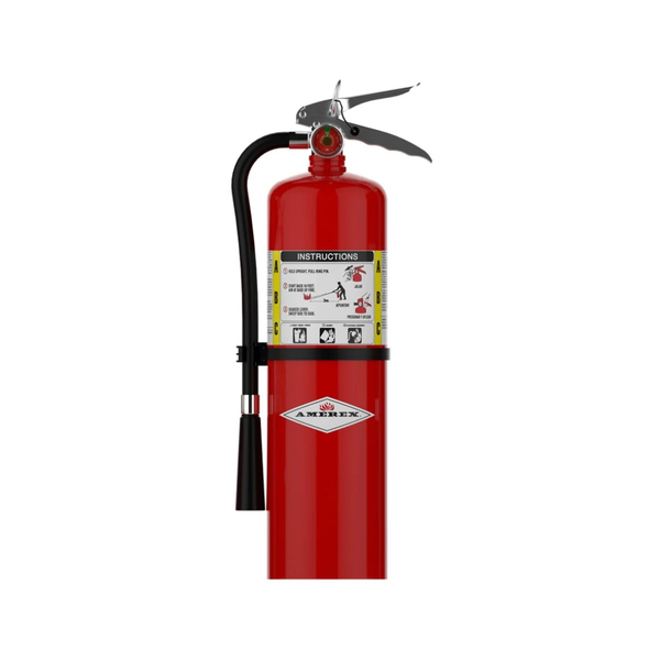 B441 - Fire Extinguisher - Protegis Fire & Safety