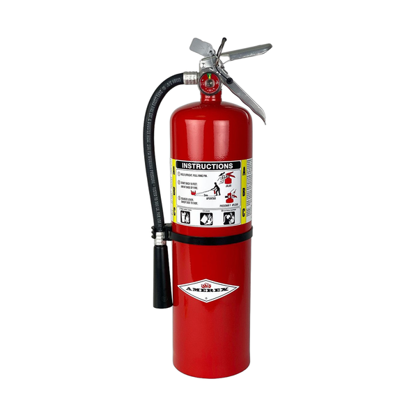 B456 - Amerex 10 lb ABC dry chemical fire extinguisher - Protegis Fire & Safety