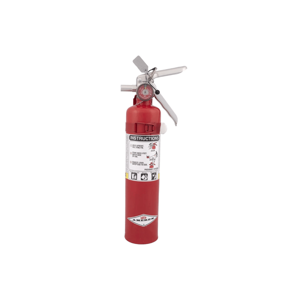 B417T - 2.5 lb ABC Dry Chemical Fire Extinguisher - Protegis Fire & Safety