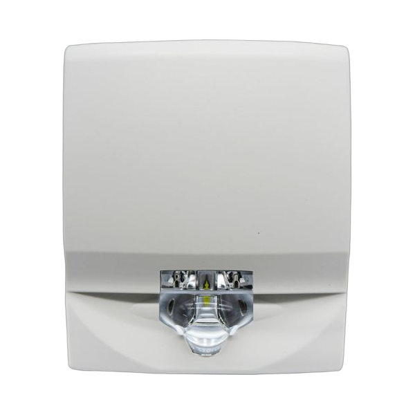 G4VWF - Wall Strobe - Protegis Fire & Safety