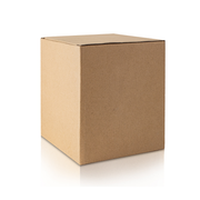 E3BB-RAA1 - AA1-Size Remote Enclosure - Protegis Fire & Safety