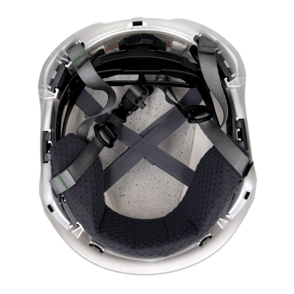 MSA 10194791-SFS-USF