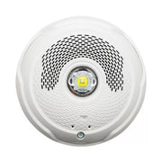 System Sensor SPSCWLED-P