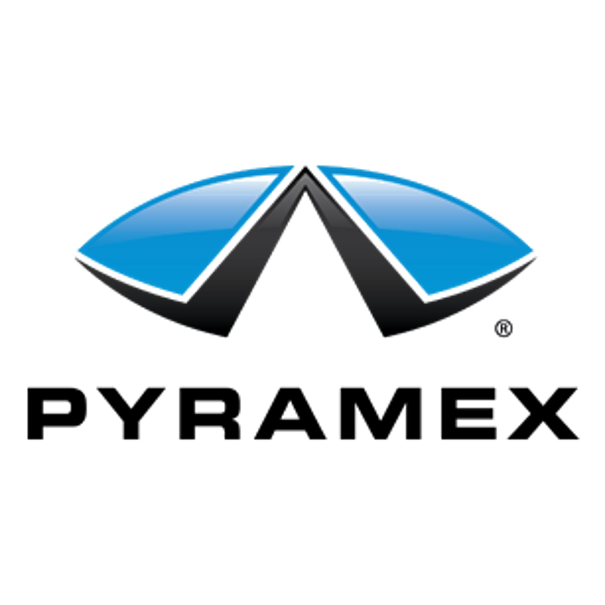 PYRAMEX GOGGLES V2G BLACK/CLEAR GB1810ST